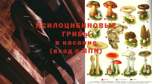 Альфа ПВП Нея