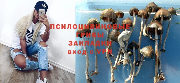 ALPHA PVP Алзамай