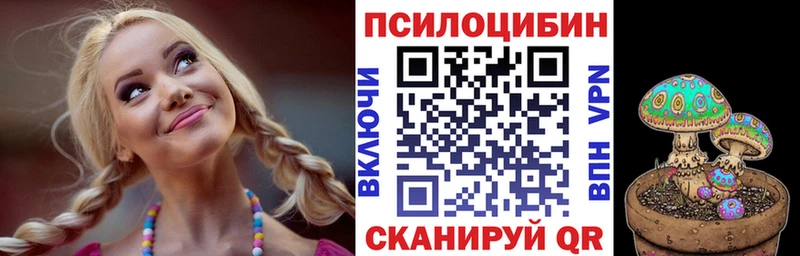 Псилоцибиновые грибы Psilocybe  Арамиль 